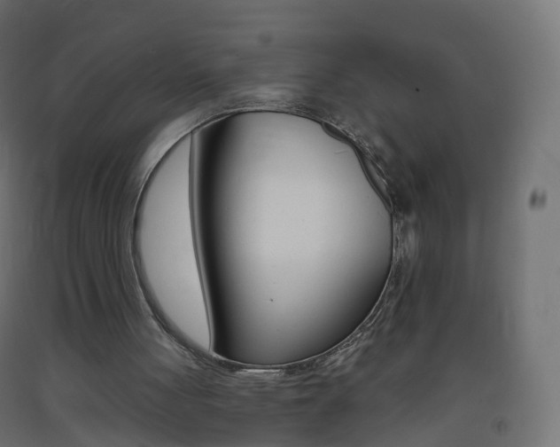 X0000093400051200710120904