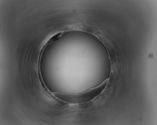 X0000093400052200710120904