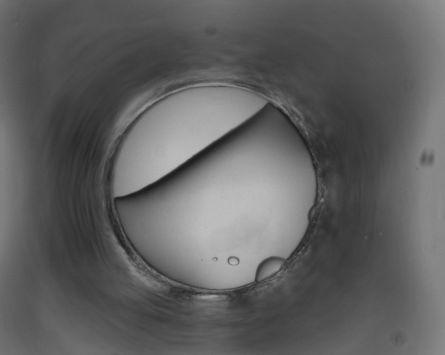 X0000093400053200710120904