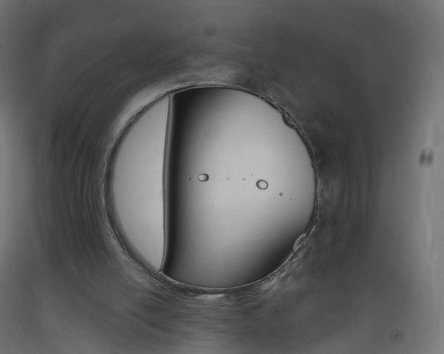 X0000093400054200710120904
