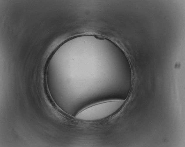 X0000093400055200710120904