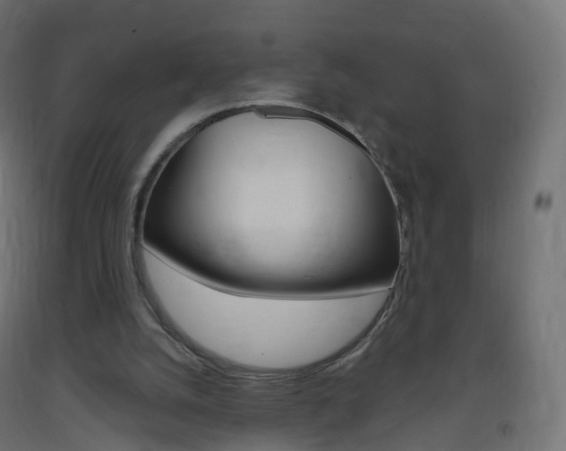 X0000093400056200710120904
