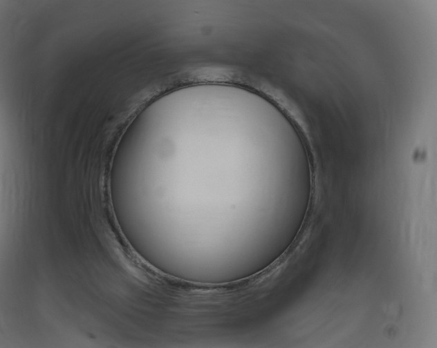 X0000093400057200710120904