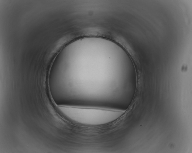 X0000093400058200710120904
