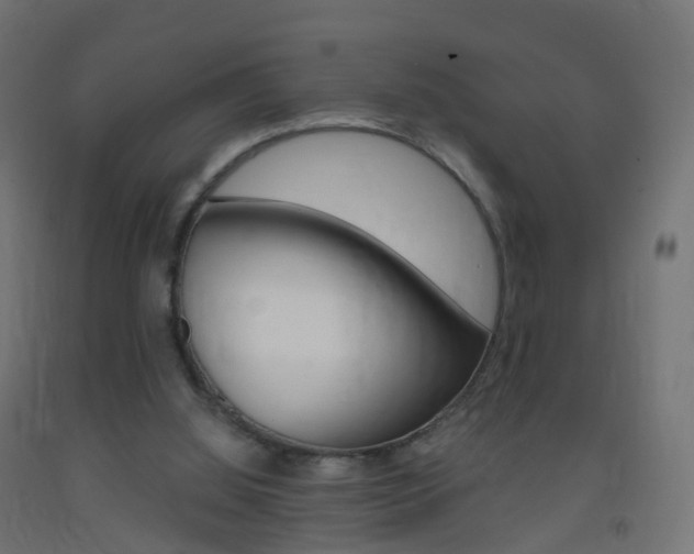 X0000093400060200710120904