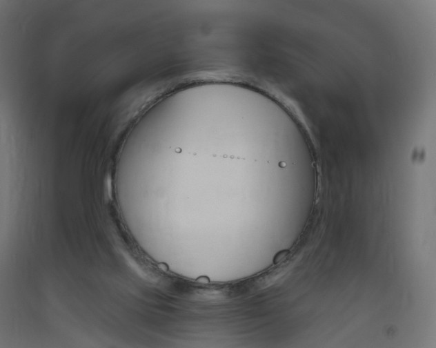 X0000093400061200710120904