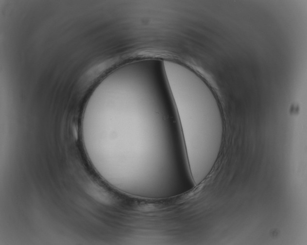 X0000093400062200710120904