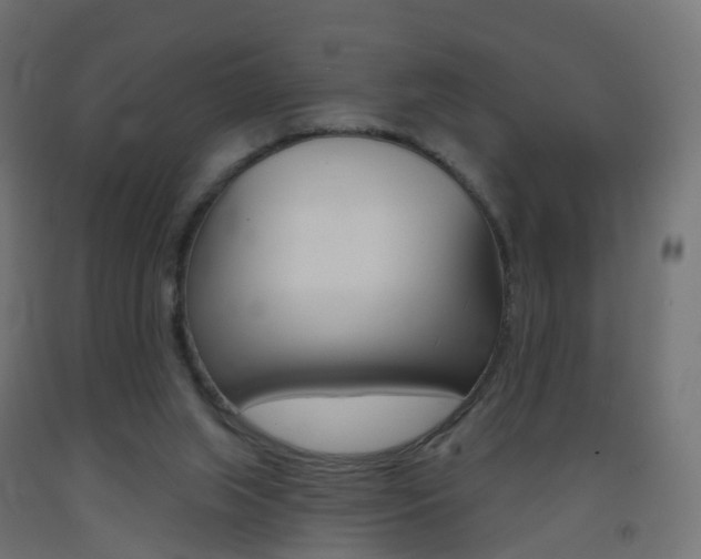 X0000093400063200710120904