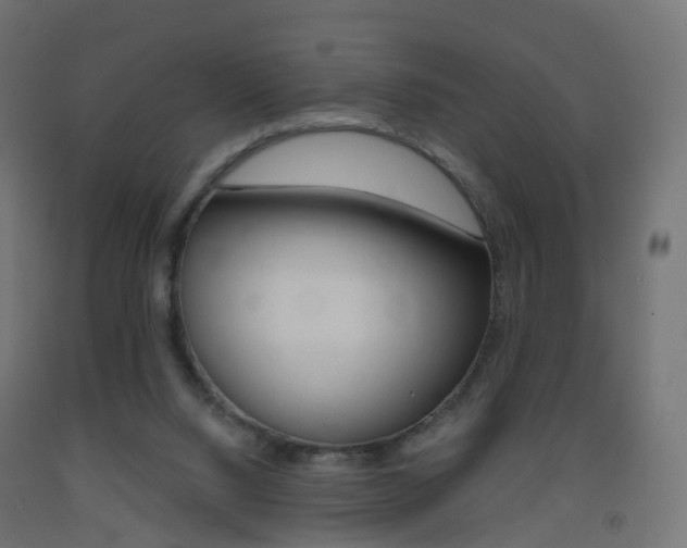 X0000093400064200710120904