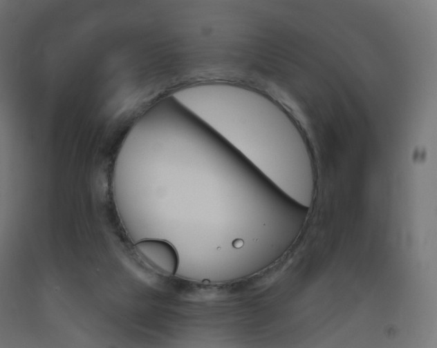X0000093400065200710120904