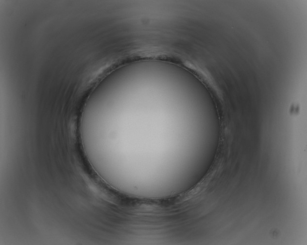 X0000093400066200710120904