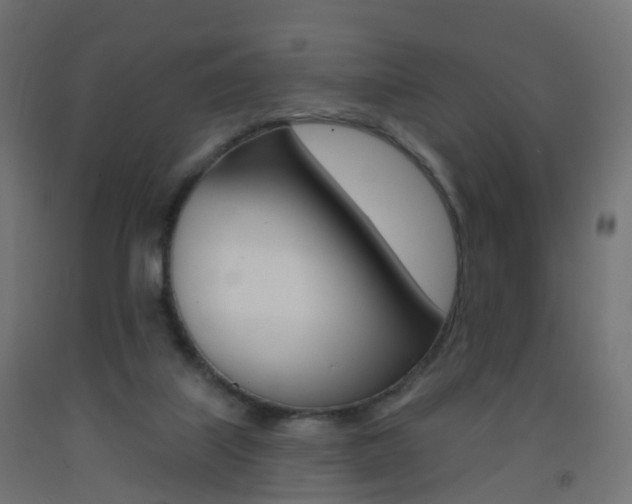 X0000093400067200710120904