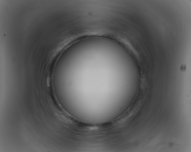 X0000093400068200710120904