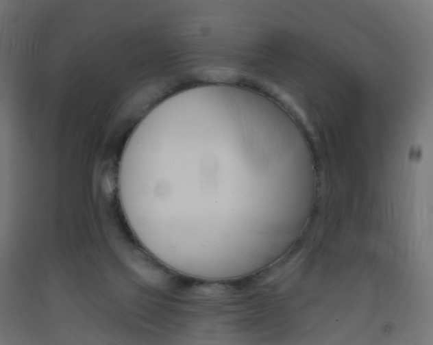 X0000093400069200710120904