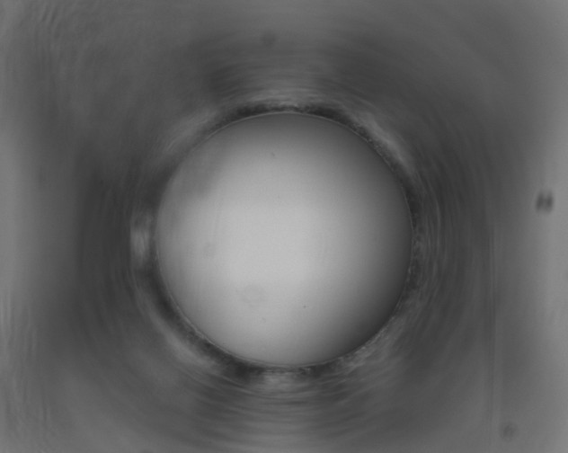X0000093400070200710120904