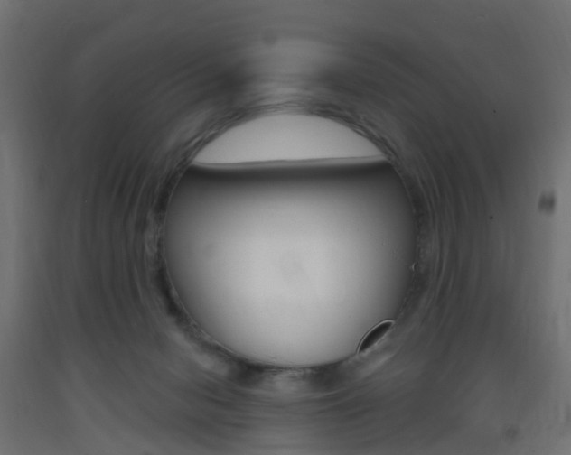 X0000093400078200710120904