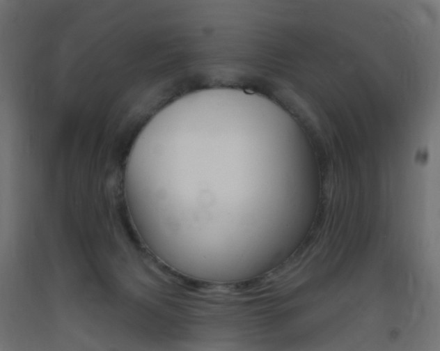 X0000093400079200710120904