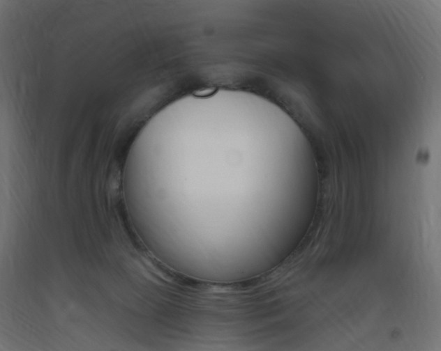 X0000093400081200710120904