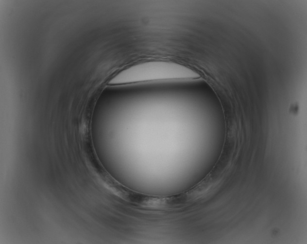 X0000093400084200710120904