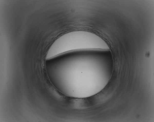 X0000093400085200710120904