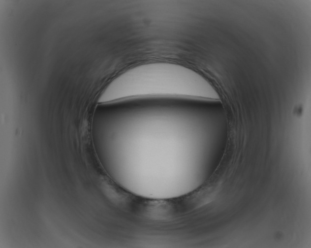 X0000093400087200710120904