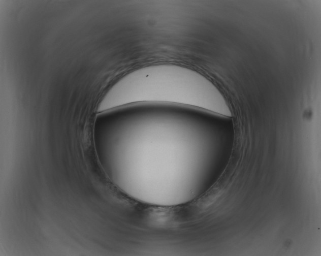 X0000093400088200710120904