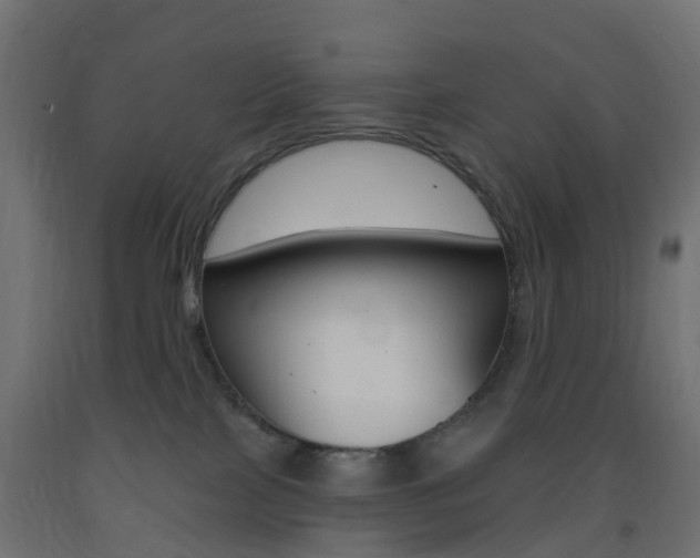 X0000093400089200710120904