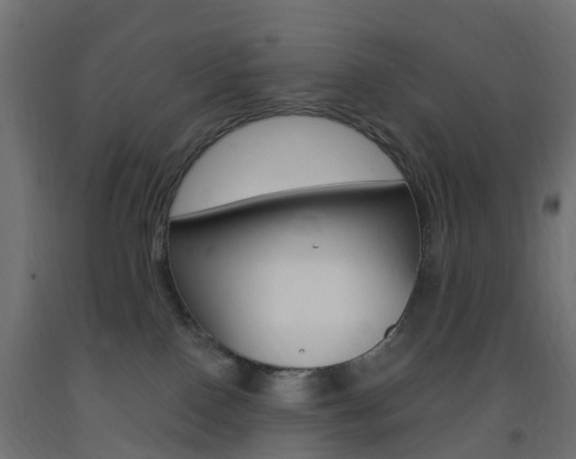 X0000093400090200710120904