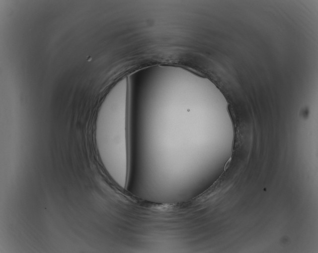 X0000093400092200710120904