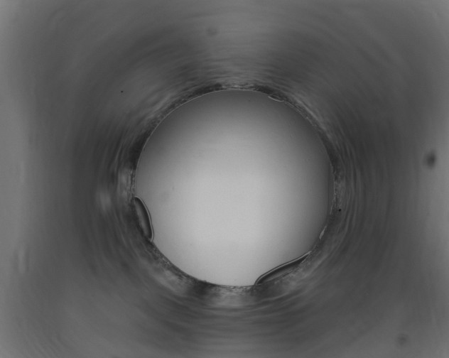X0000093400093200710120904