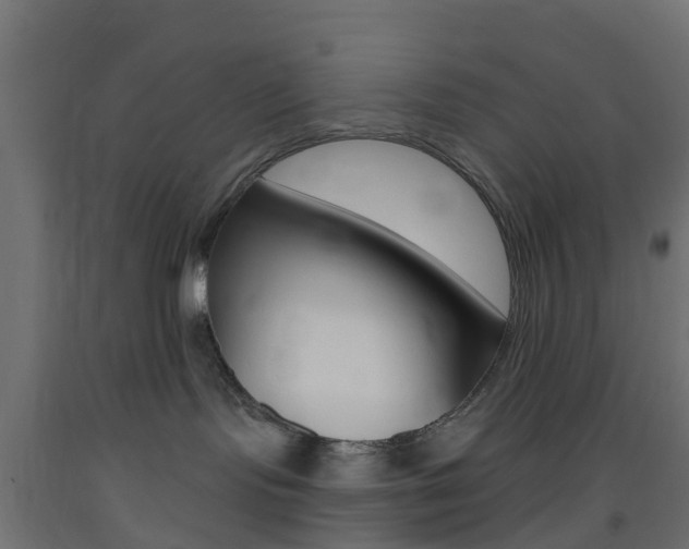 X0000093400095200710120904