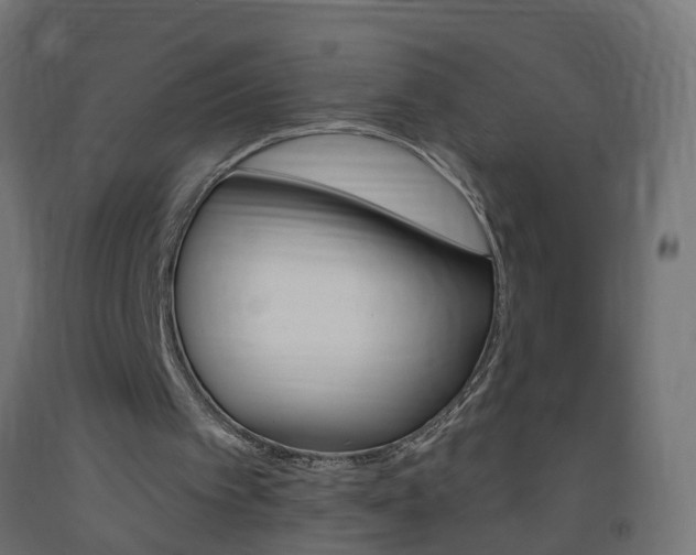 X0000093400097200710120904