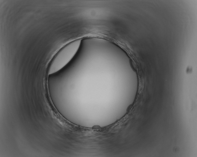X0000093400098200710120904