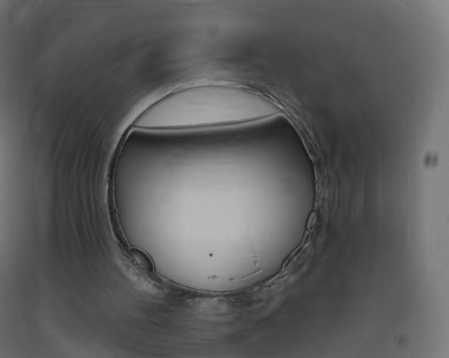 X0000093400100200710120903