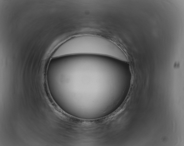X0000093400101200710120903