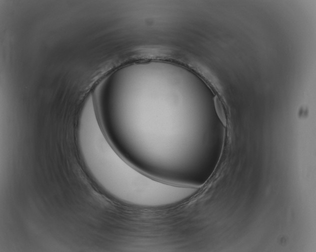X0000093400105200710120903