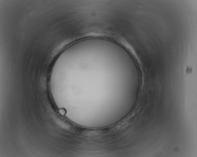 X0000093400106200710120903