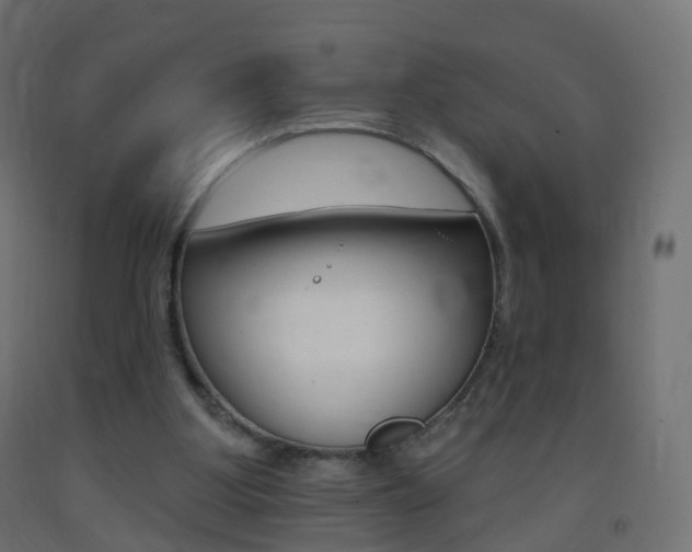 X0000093400107200710120903