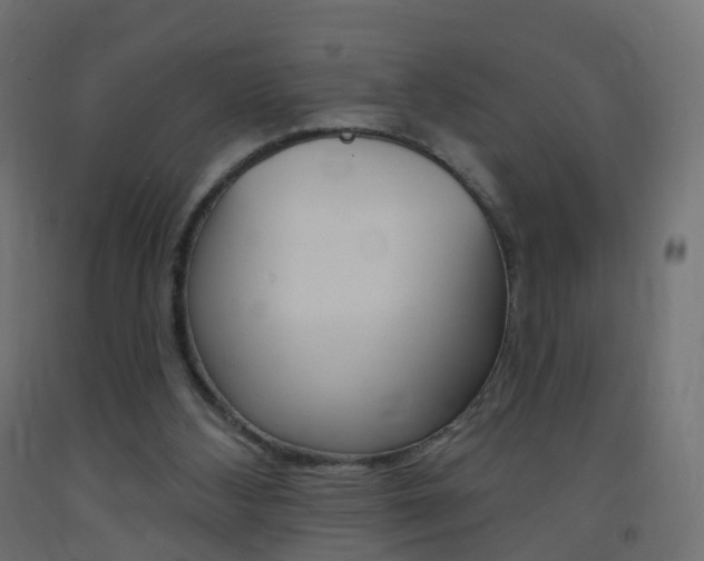 X0000093400108200710120903