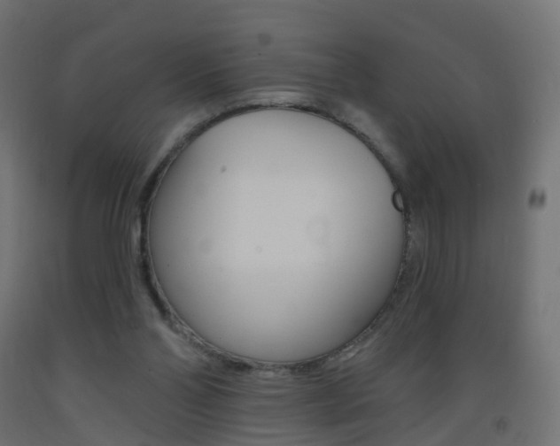 X0000093400110200710120903
