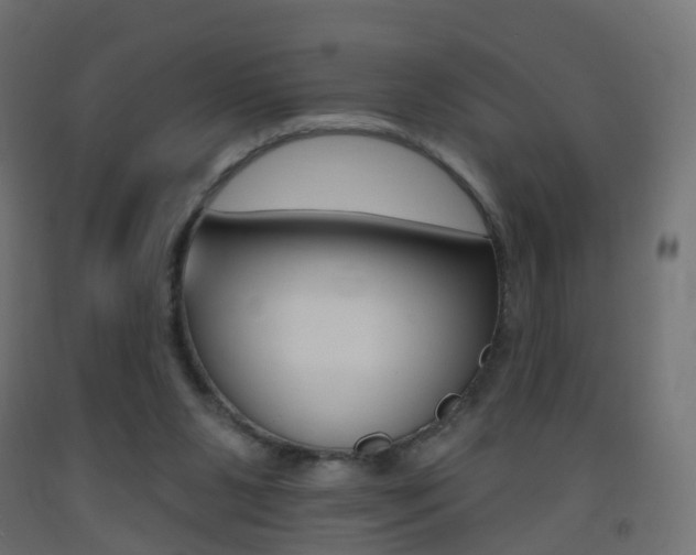 X0000093400111200710120903