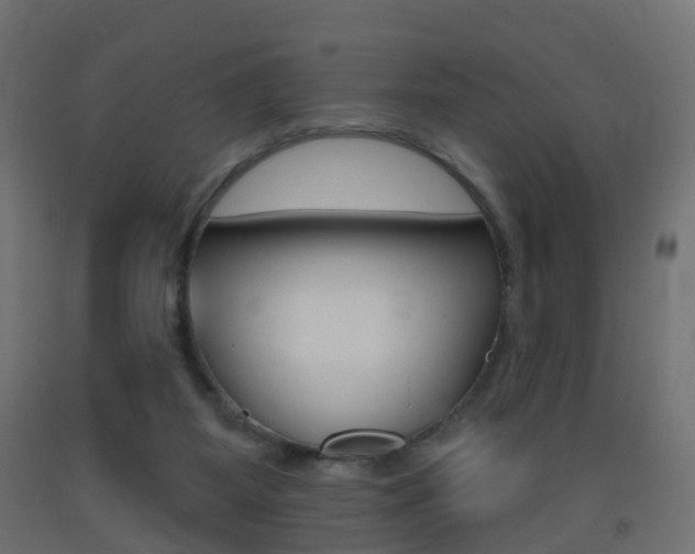 X0000093400115200710120903