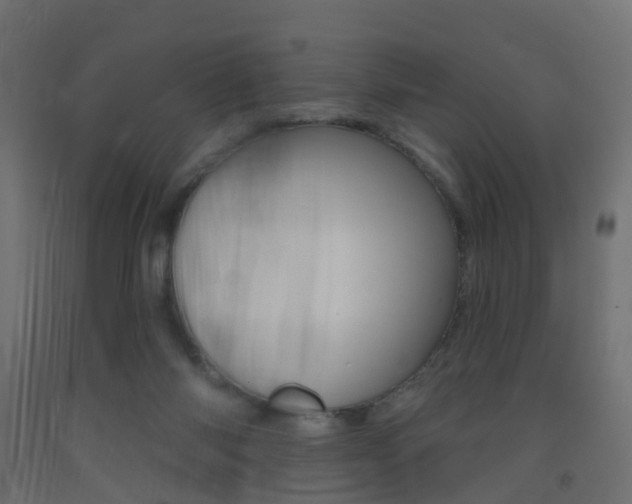 X0000093400118200710120903