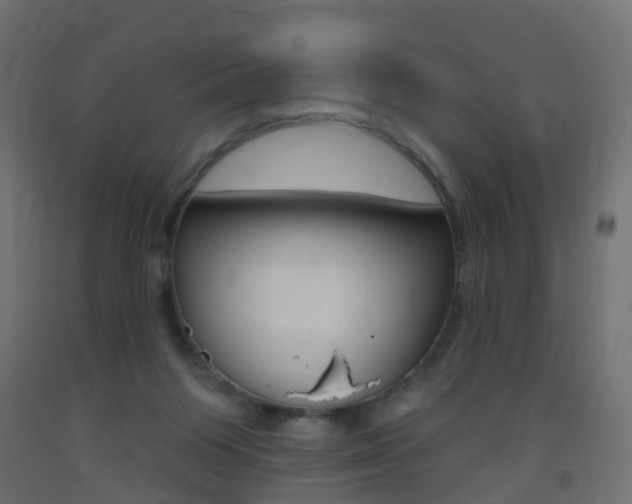 X0000093400119200710120903