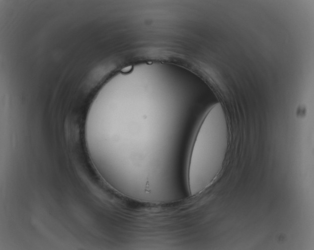X0000093400120200710120903