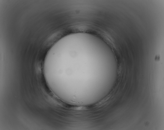 X0000093400122200710120903