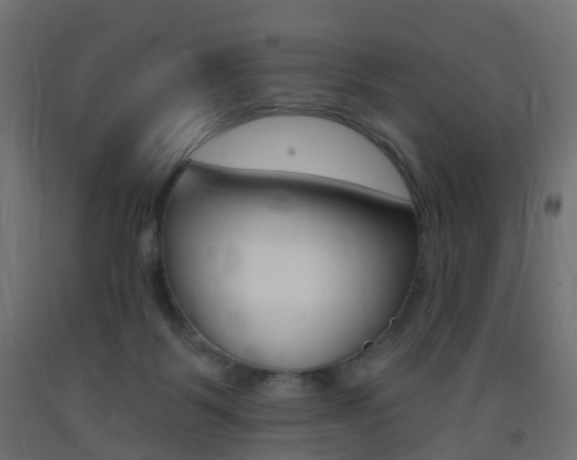 X0000093400123200710120903