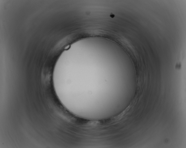 X0000093400124200710120903