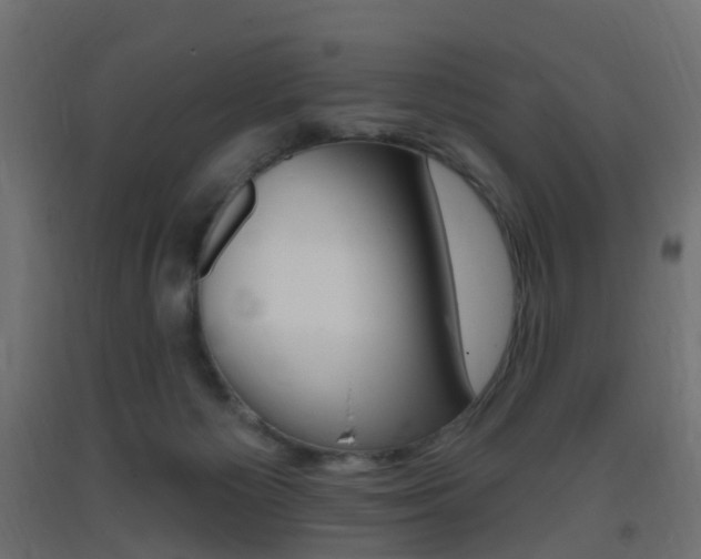 X0000093400125200710120903