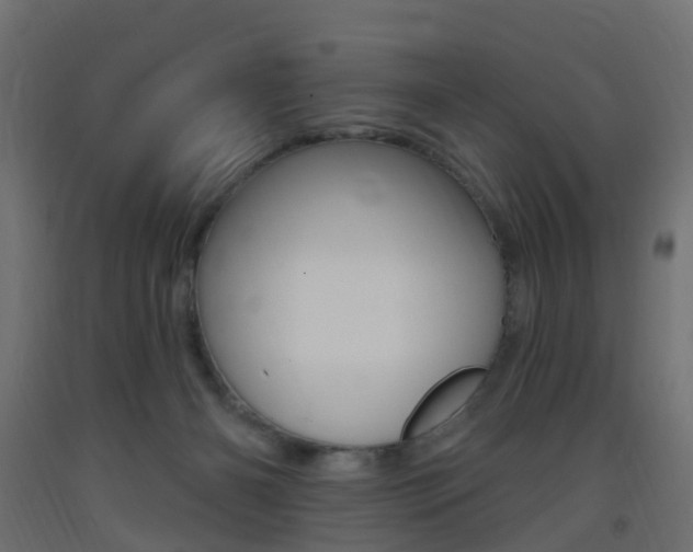 X0000093400126200710120903